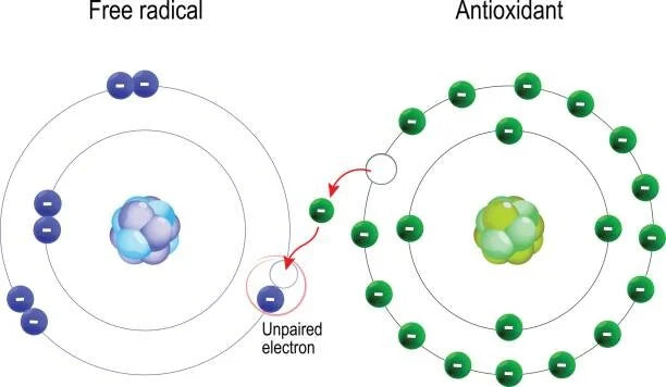 Moleculen van een vrije radicaal en een antioxidant.